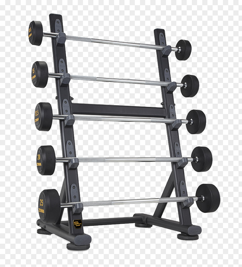 Barbell Fitness Centre Dumbbell Exercise Equipment Weight Training PNG