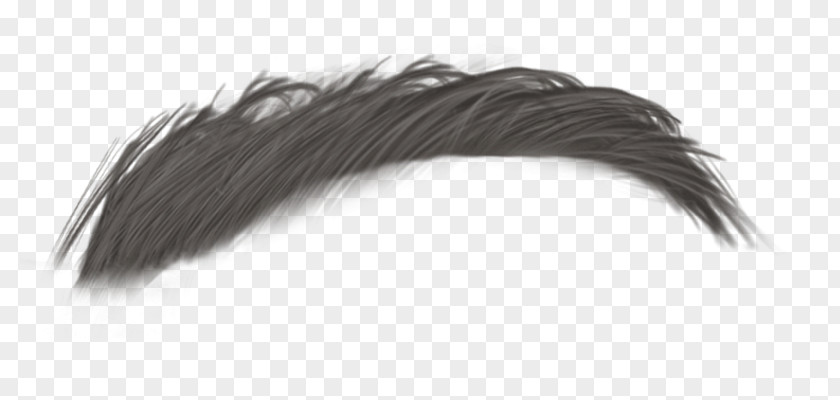 Bigotes Eyebrow Animaatio PNG