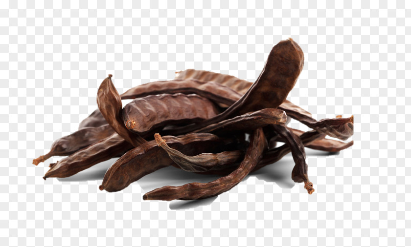 Carob Tree Locust Bean Gum Mediterranean Basin Natural Seed PNG