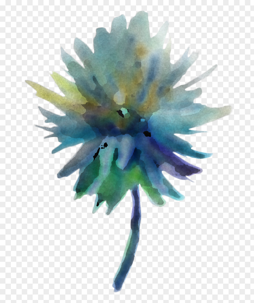 Feather PNG