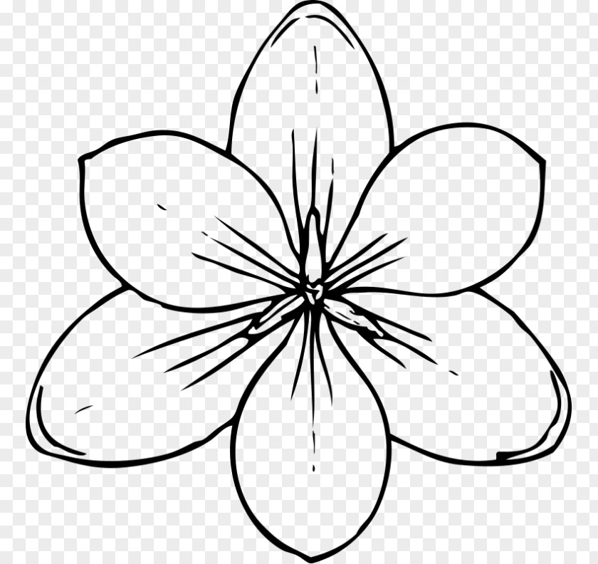 Flower Drawing Line Art Clip PNG