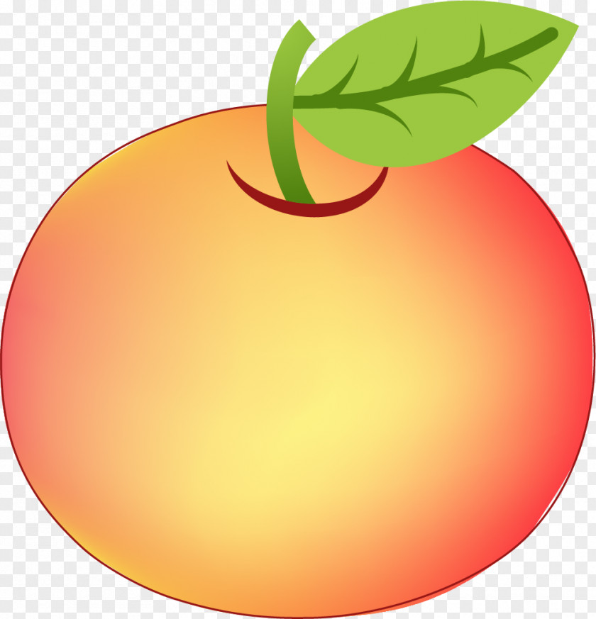 Hand Painted Red Apple Grapefruit Little Clip Art PNG