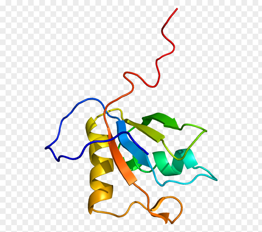 MATR3 Protein Gene Nuclear Matrix Chromosome 5 PNG
