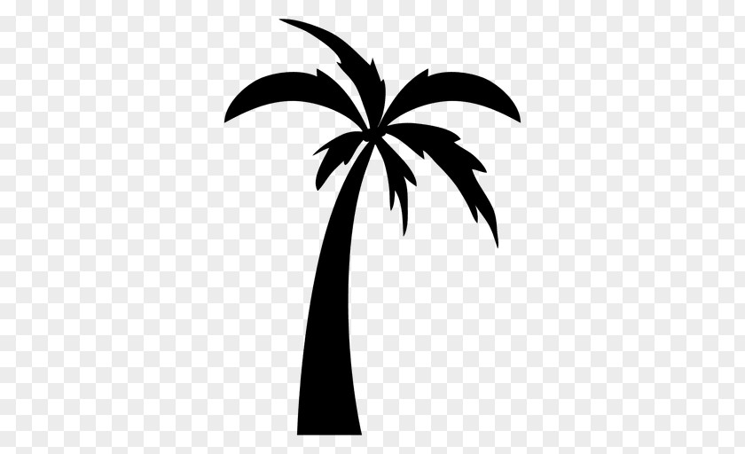 Simple Cv Drawing Arecaceae Tree PNG