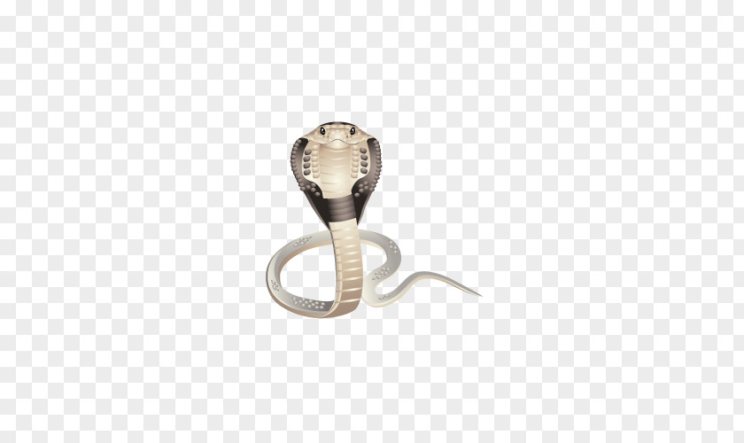The Head Of Snake King Cobra Icon PNG