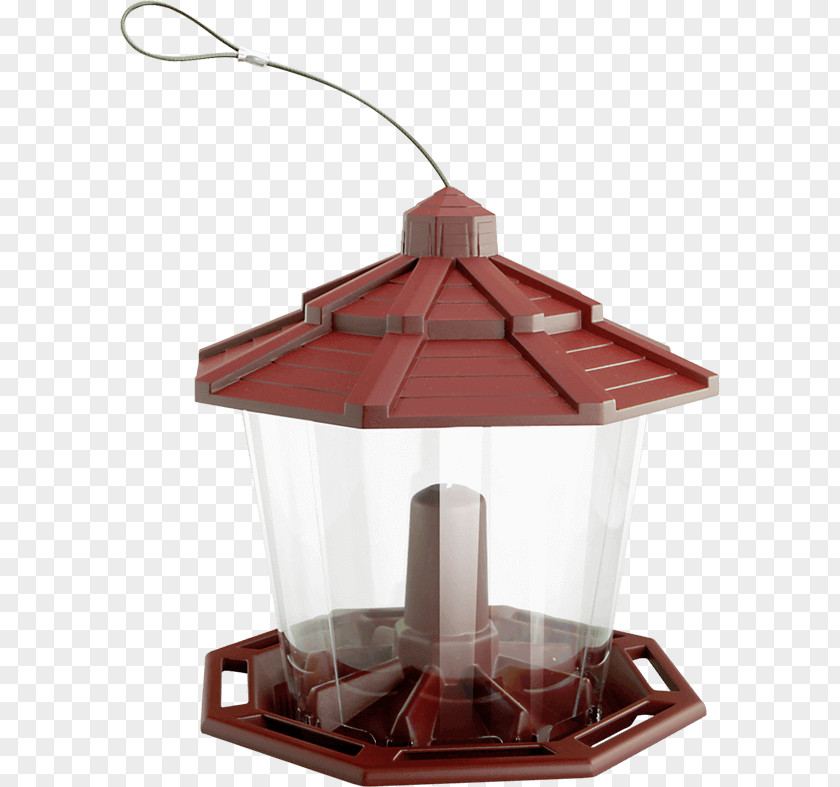 Bird Feeders Hummingbird House Sparrow Common Redpoll PNG