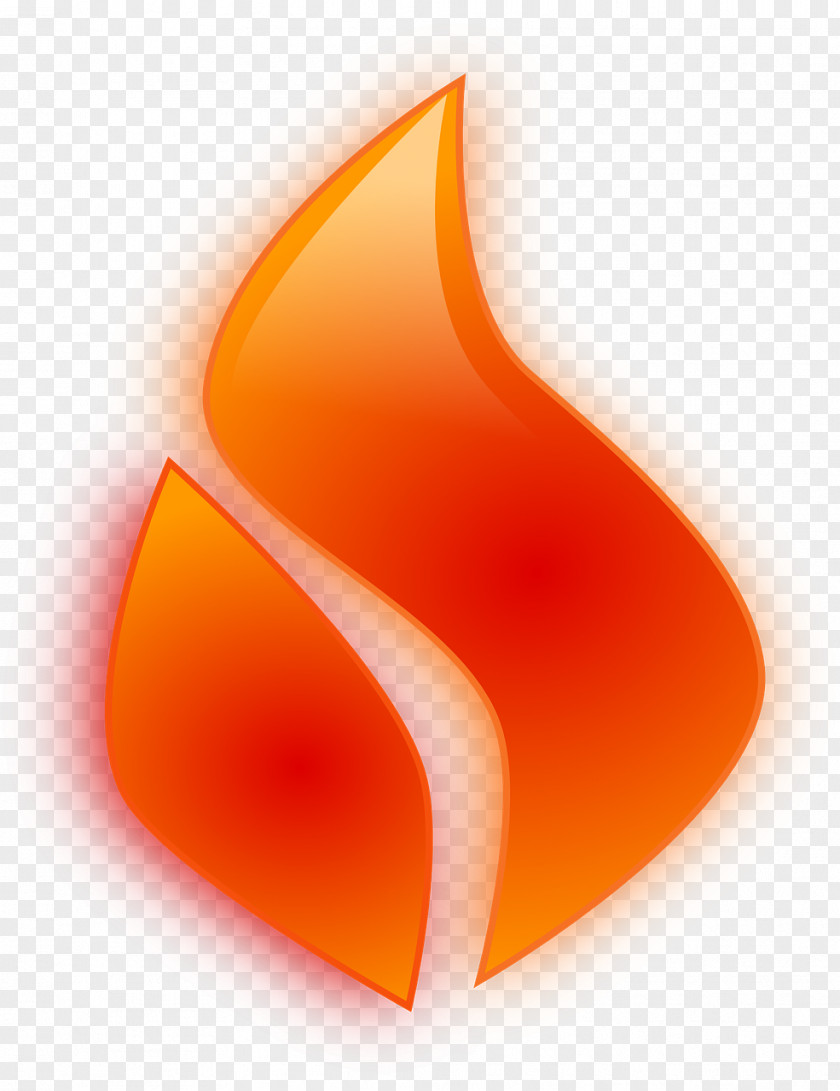 Fire Miami Heat Clip Art PNG