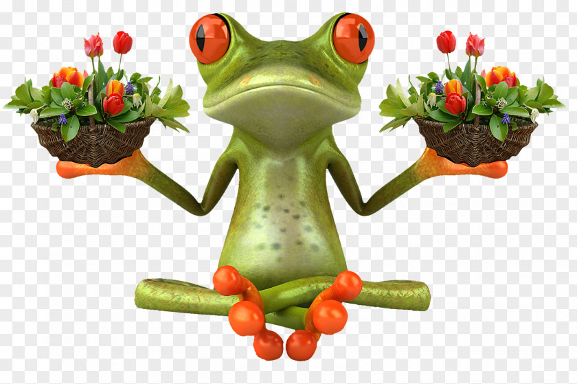 Frog Stock Photography Royalty-free Image Illustration PNG