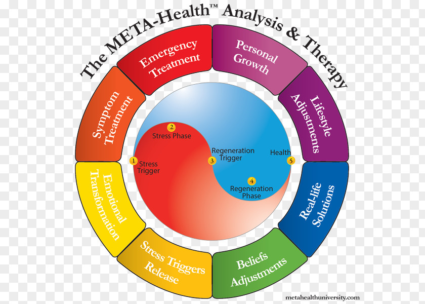 Health Care Medicine Integrated Professional PNG