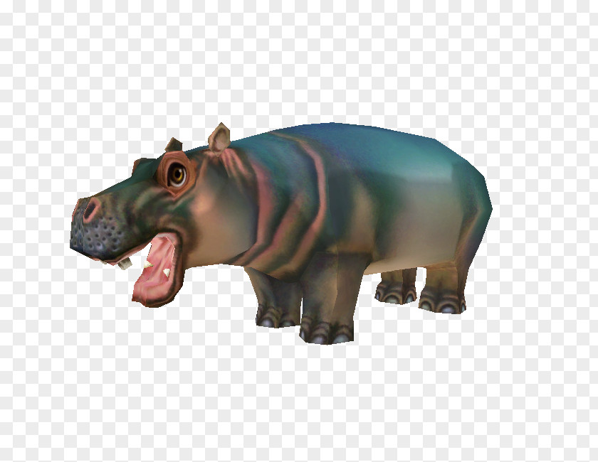 Hippopotamus Rhinoceros Terrestrial Animal Wildlife Snout PNG