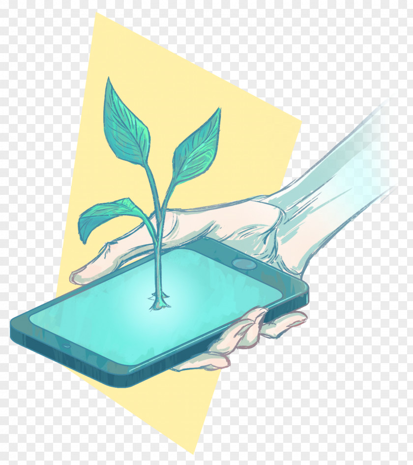 Paper Plant Leaf PNG