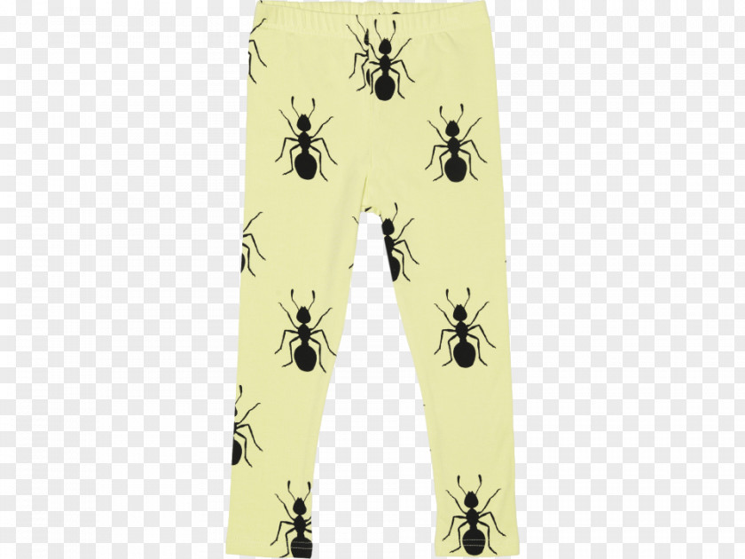 Pistachio Day Leggings PNG