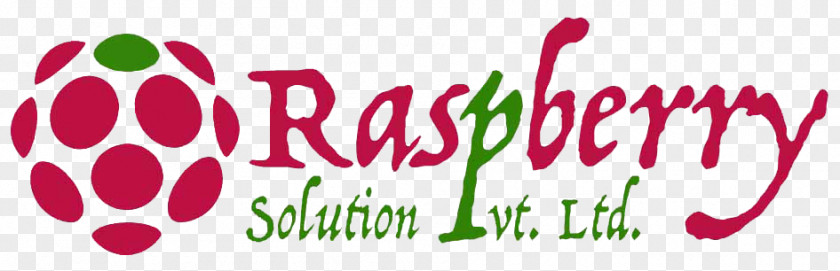 Raspberry Logo Management Consulting Organization Firm Consultant PNG
