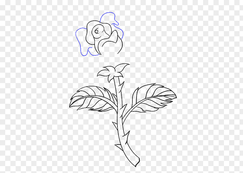 Rose Drawing Plant Stem Flower Sketch PNG