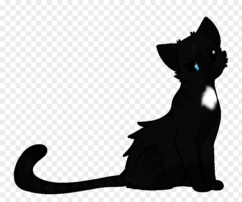 Cat Black Domestic Short-haired Warriors Popular Names PNG
