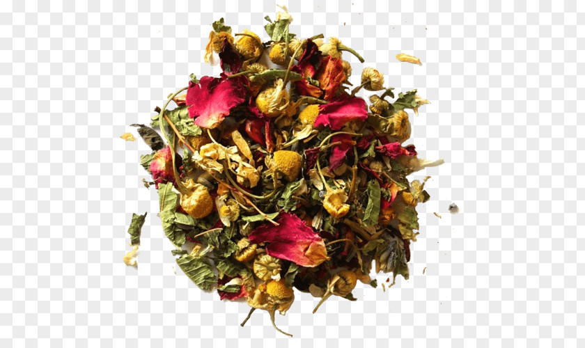 Chamomile Herbal Tea Oolong Cut Flowers PNG