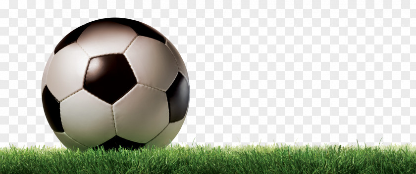 Football FIFA World Cup Grass PNG