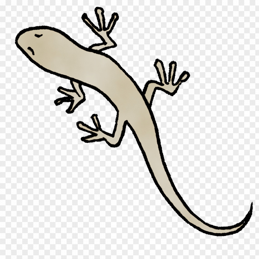 Gecko Lizard Animal Figurine Tail Science PNG