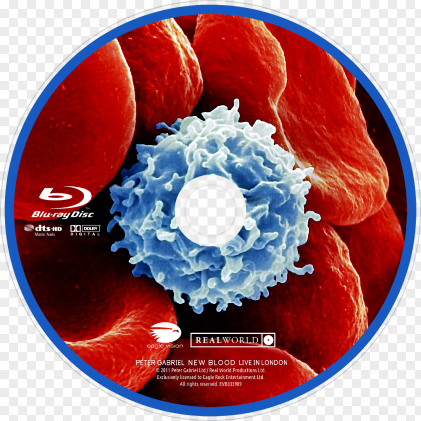 New Blood Blu-ray Disc DVD Blood: Live In London PNG