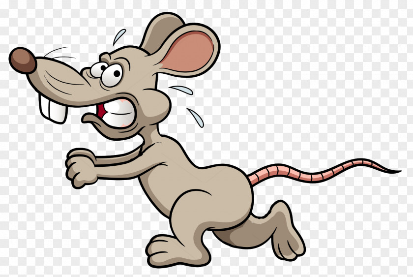 Rat Laboratory Clip Art PNG