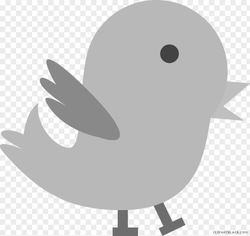 Bird Clip Art Duck Image PNG