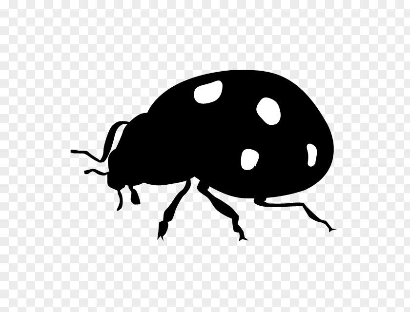 Insect Ladybird Beetle Silhouette Clip Art PNG
