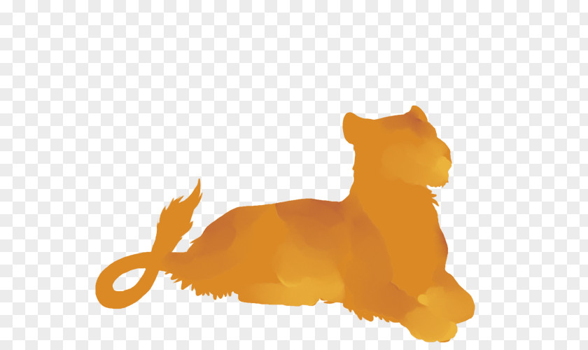 Lion Down Whiskers Kitten Big Cat PNG