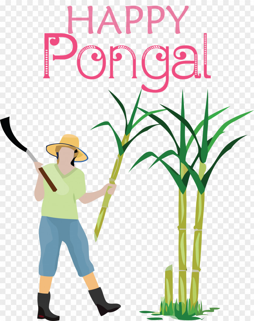 Pongal Happy PNG