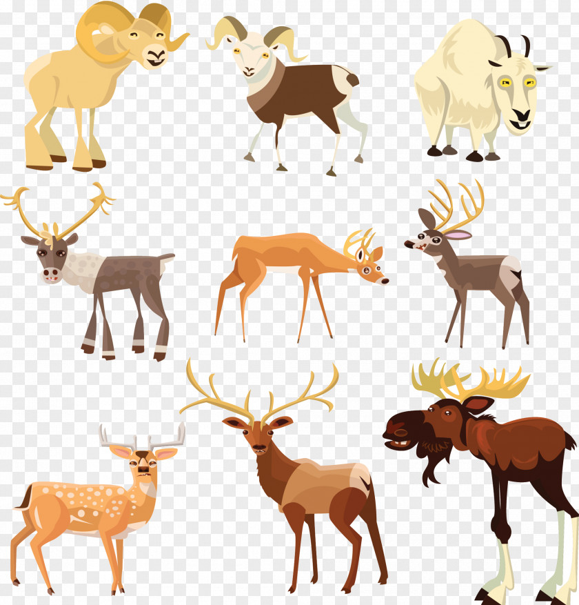 Tibetan Antelope Deer Illustrator Elk Moose Ungulate PNG