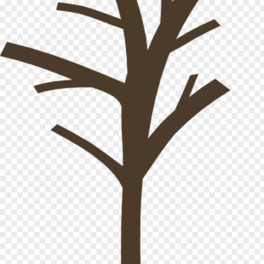 Tree Branch Clip Art Fall PNG