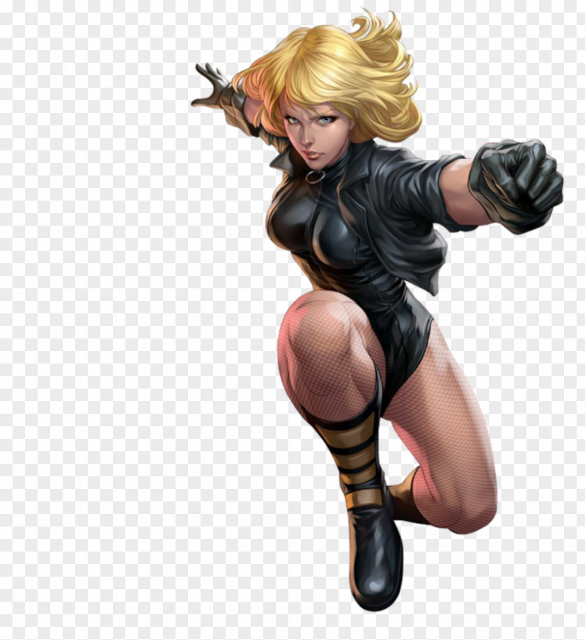 Dc Comics Black Canary Green Arrow Wildcat Superhero Justice Society Of America PNG