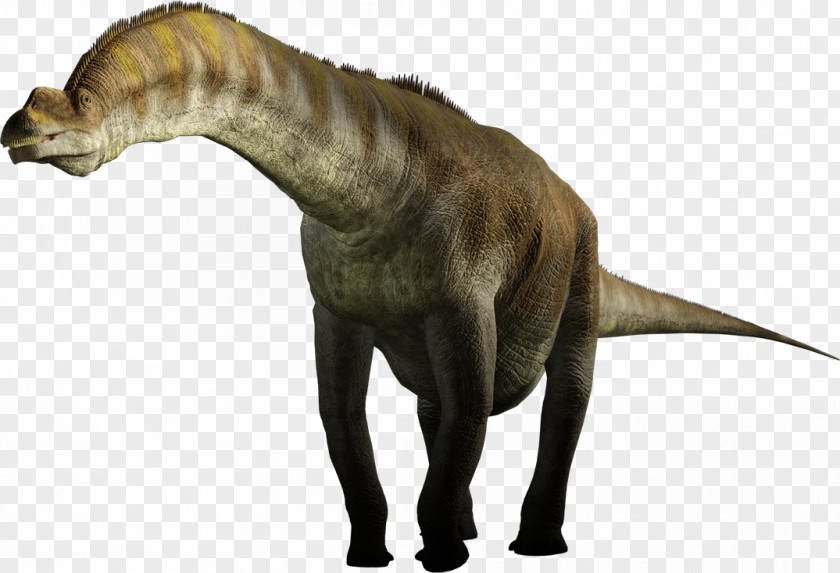 Dinosaur Size Tyrannosaurus Brachiosaurus Argentinosaurus Giraffatitan PNG