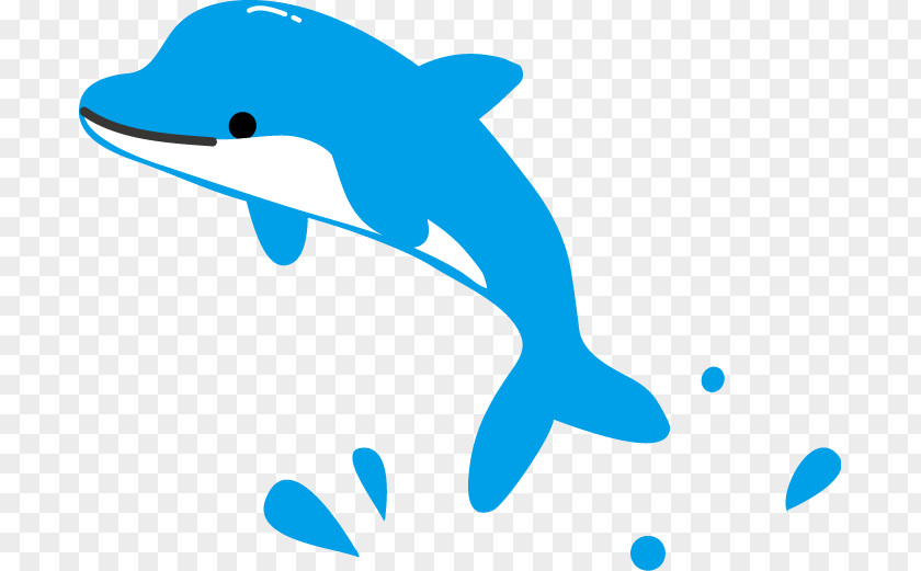 Dolphin Illustration Image Animal Graphics PNG