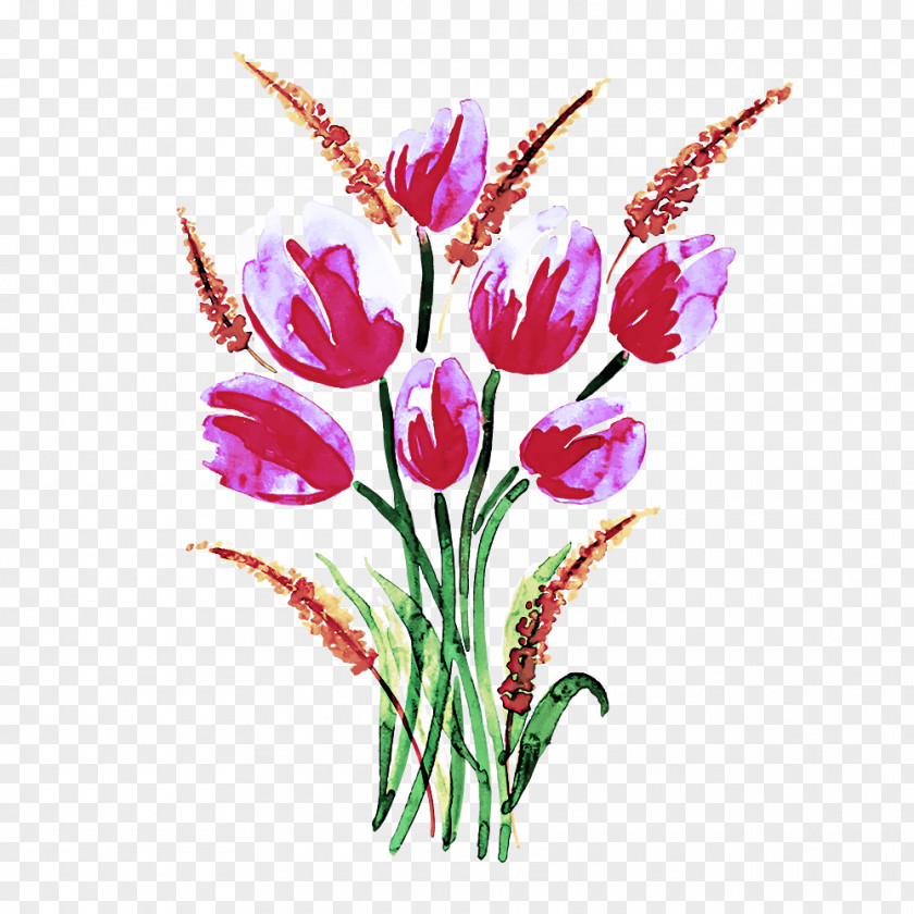 Floral Design PNG