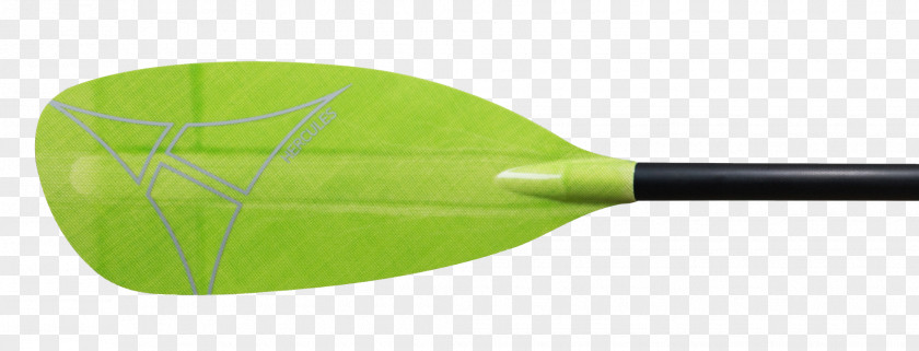 Green Paddle Leaf PNG