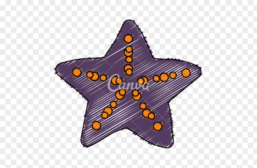 Sea Star Symbol PNG