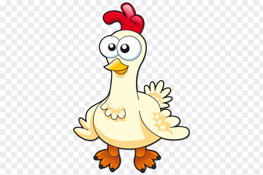 Chicken Cartoon Animal PNG