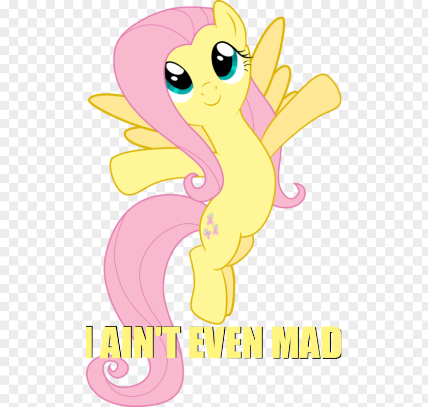 Deviantart Fluttershy Pony Rainbow Dash Twilight Sparkle Pinkie Pie PNG