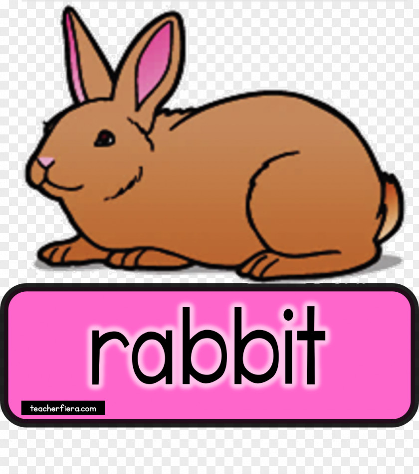 Domestic Animals Rabbit Blog Clip Art PNG