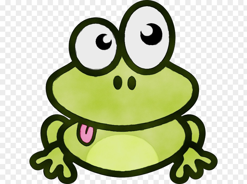 Head Yellow Green Frog True Toad Facial Expression PNG