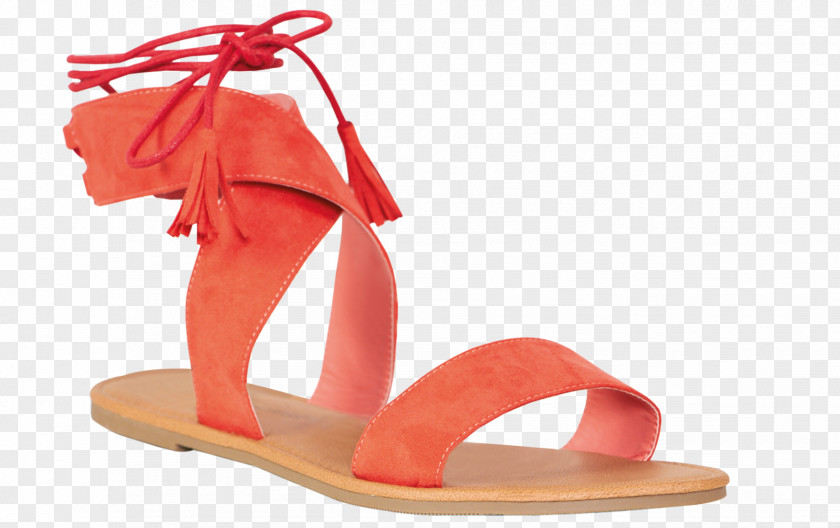 Sandal Shoe Fashion Flip-flops Footwear PNG