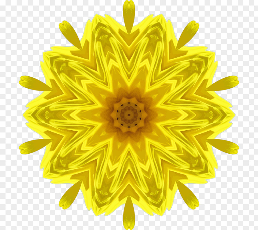 Symmetry Pollen Flowers Background PNG