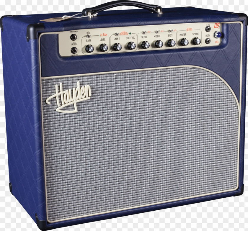 Db2 Database Guitar Amplifier Hayden Electronic Musical Instruments PNG