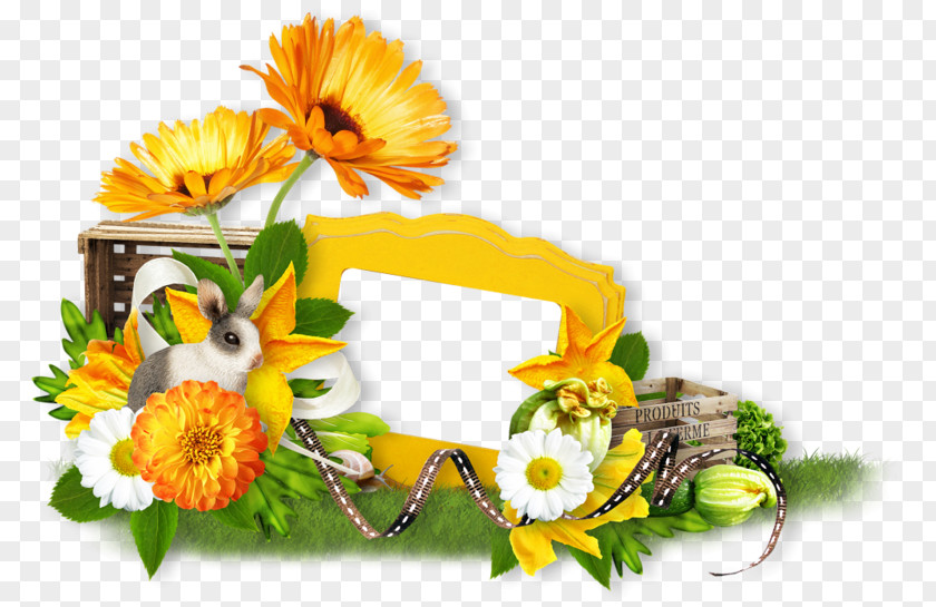 Flower Cut Flowers Happiness Wish Blog PNG