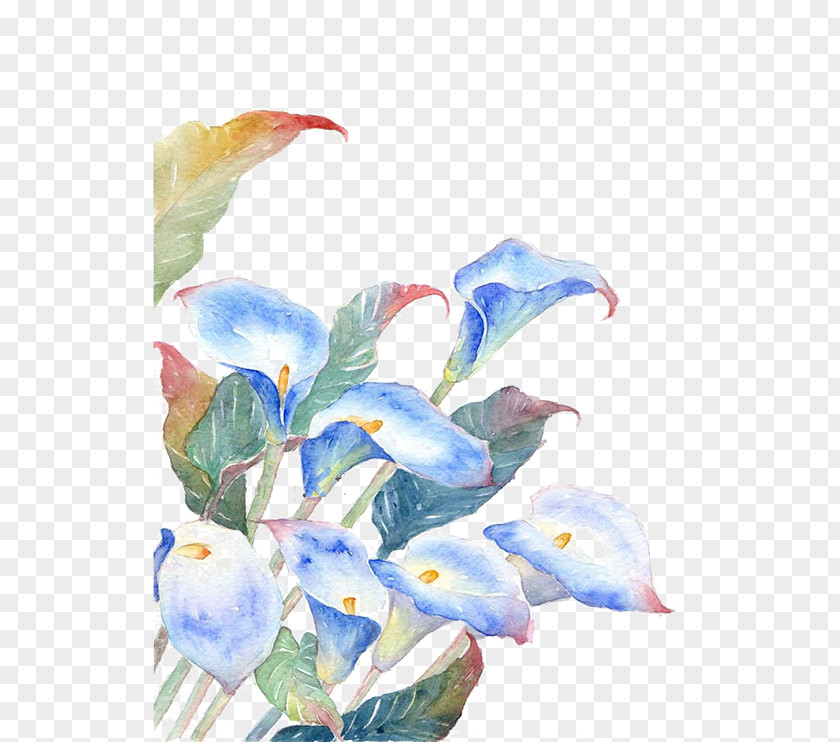 Blue Flowers Watercolor Painting Flower Illustration PNG