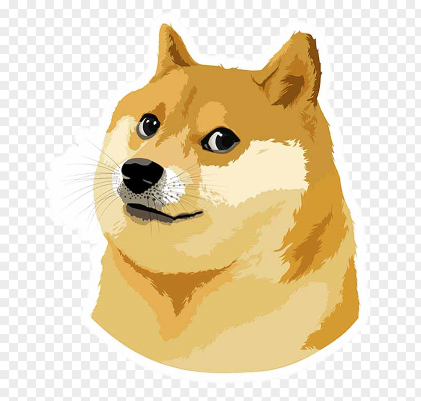 Exquisite Book And Doctor Cap Vector Shiba Inu Dogecoin PNG