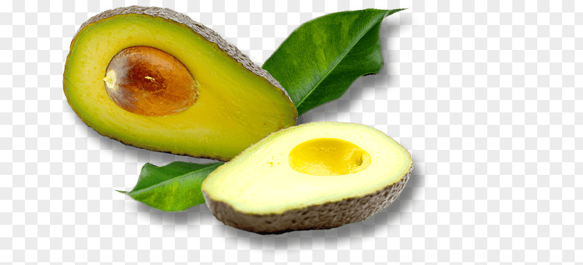 Fruit Banner Avocado Colombian Cuisine Mousse Food Mango PNG