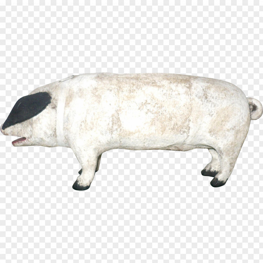 Pig Domestic Cattle Snout PNG