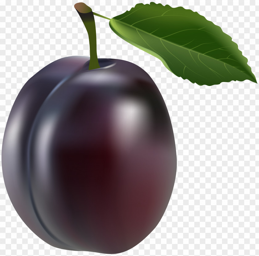 Prune Plum Clip Art PNG