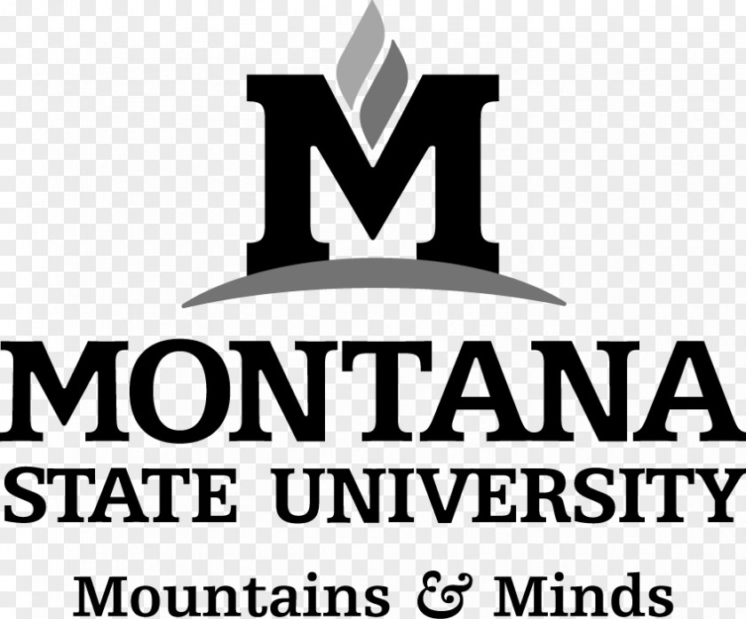 Student Montana State University Library Billings Of System PNG
